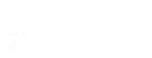 Kupujemy Auta